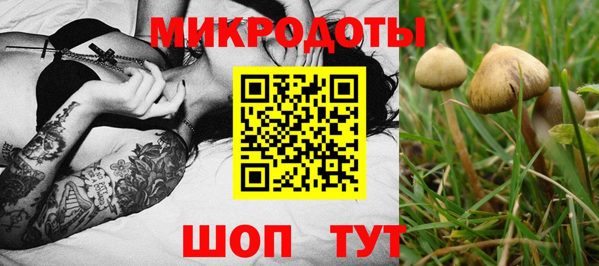 Алушта  Галлюциногенные грибы ЛСД  Вход с VPN 